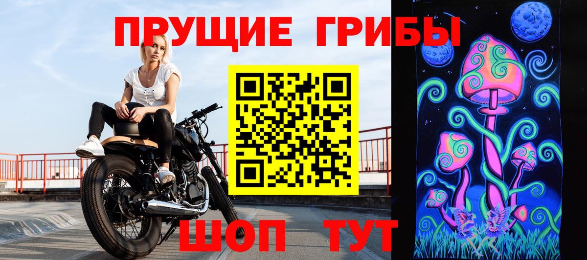 Вичуга  Галлюциногенные грибы Cubensis  Вход с VPN 