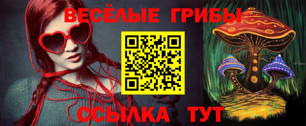 Галлюциногенные грибы Cubensis Вичуга